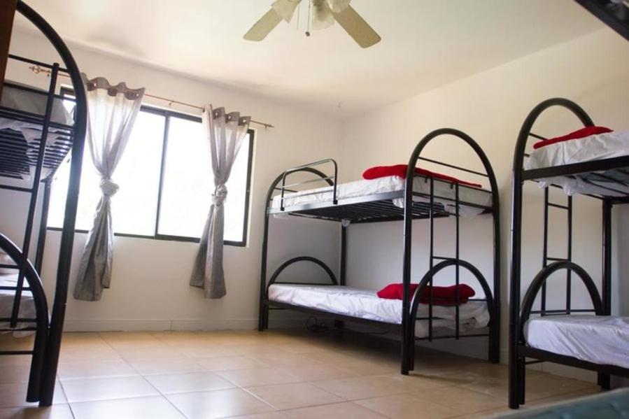 Wipeout Hostel Jacó Εξωτερικό φωτογραφία